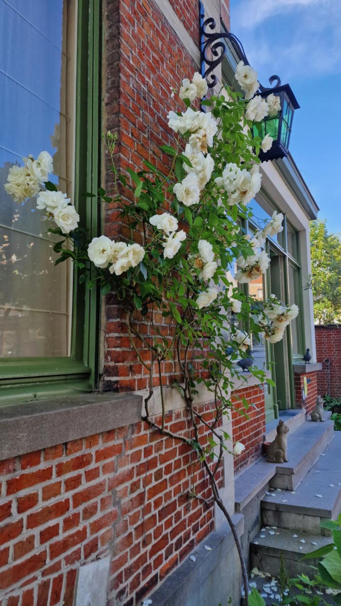 B&B Fine Fleur Bruges Luaran gambar